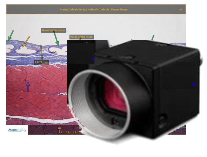 Discounted Price for 3rd Ocular Cameras